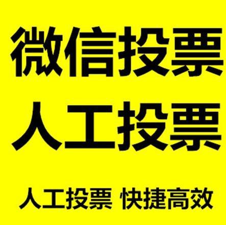 呼和浩特市投票活动拉票能被查出来吗？如何操作能不被发现？